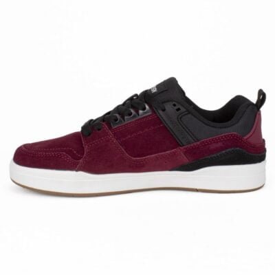 Zapatilla Anthology Juvenil Nollie Burdeo