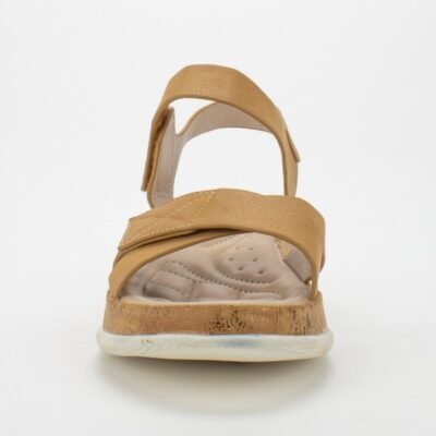 82be4184 7322 4b06 a0fa b2d2d4077318 2ed52a bab4c4c29d364cf981448baef8113928mv2